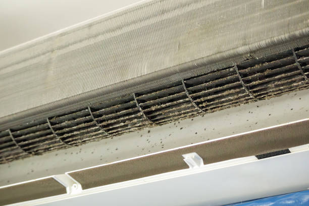 Best Duct Cleaning Specialists  in Riverside, OH